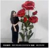 Picture of Set of Oversized Roses