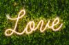 Picture of LED Neon Signs for Every Occasion